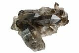 Dark Smoky Quartz Crystal Cluster - Brazil #124563-1